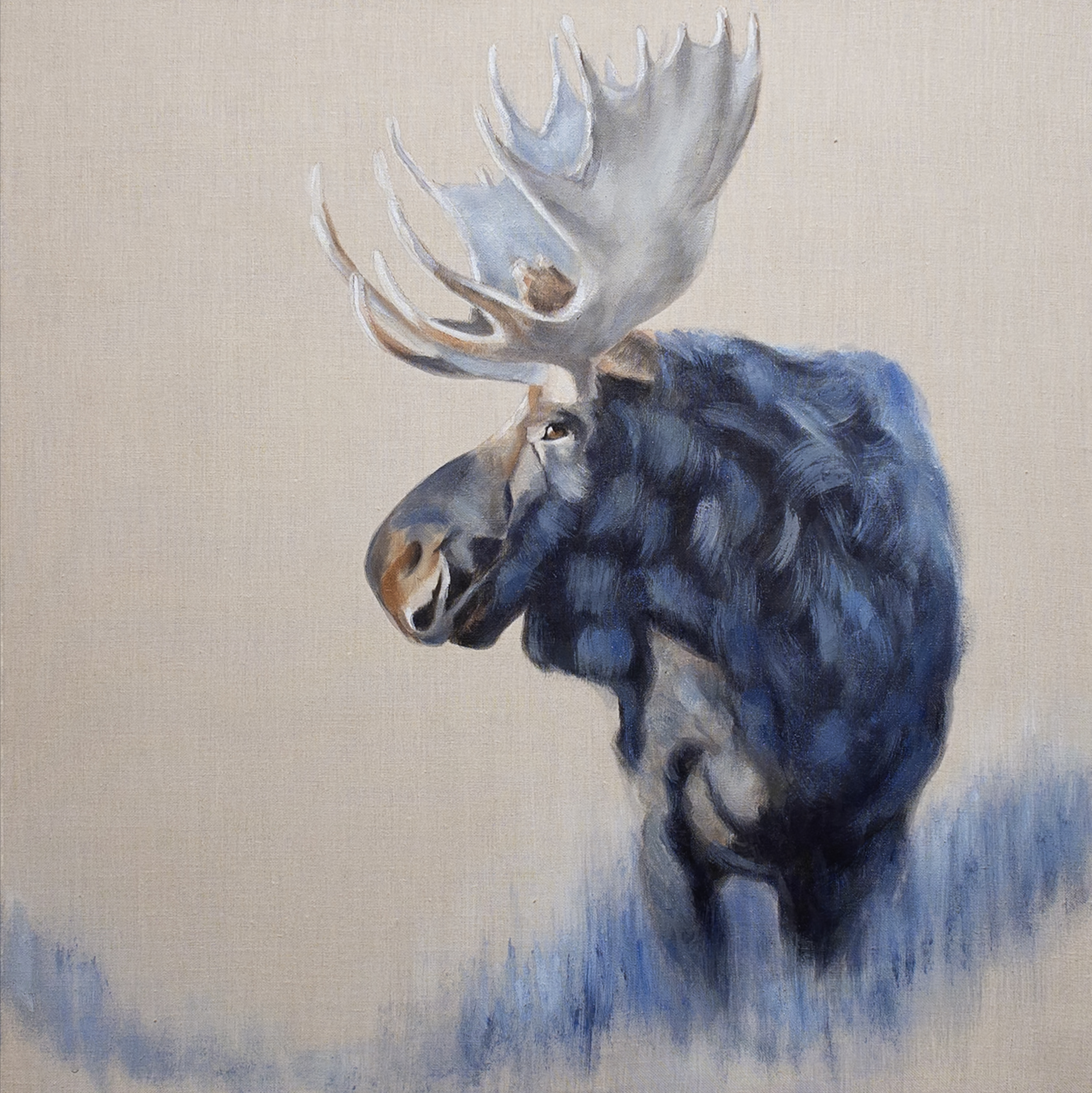 Moose on Linen