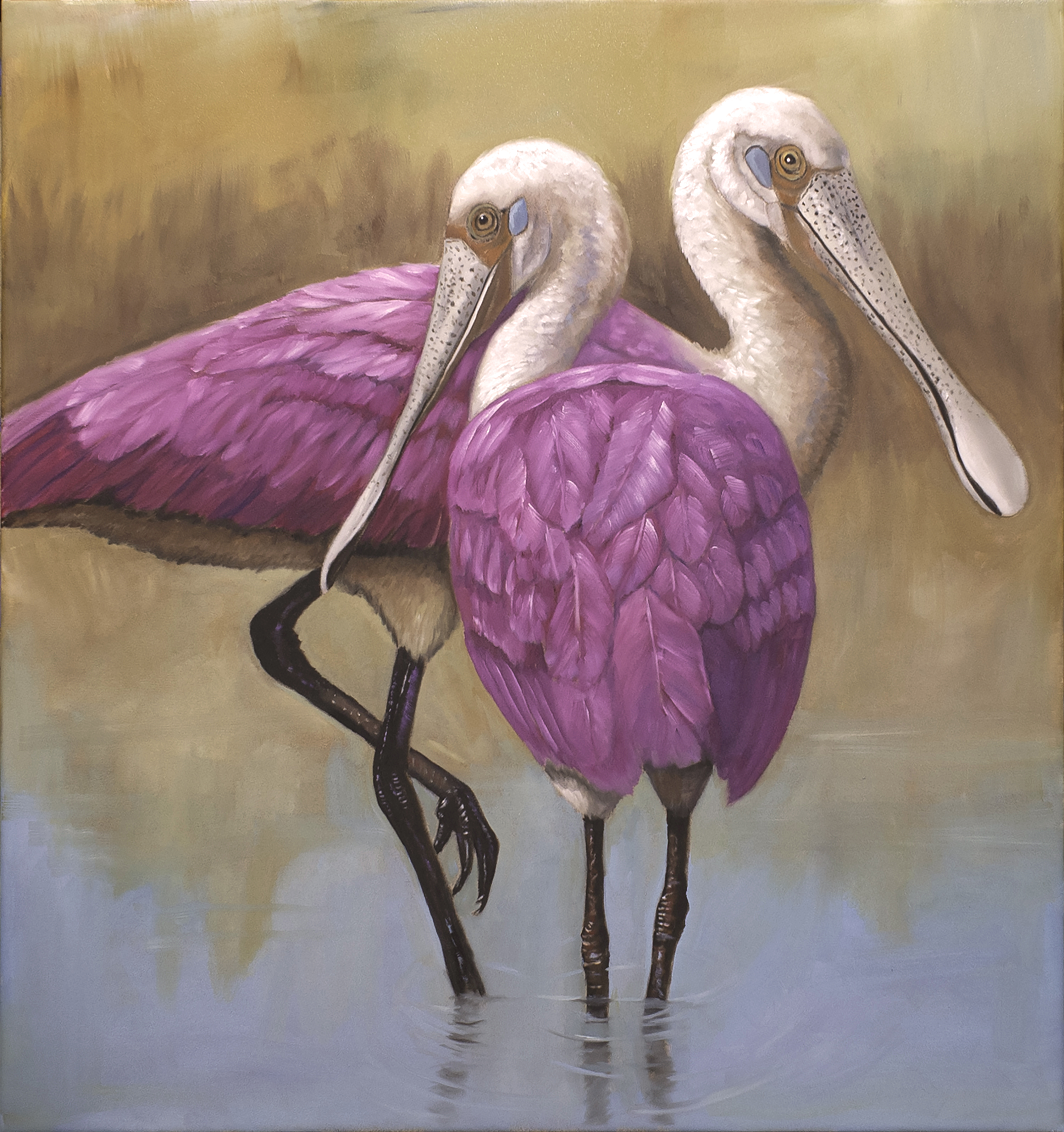 Spoonbills